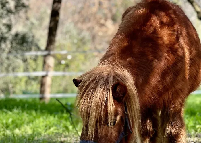 Hotell Rta Costa Etrusca 3*